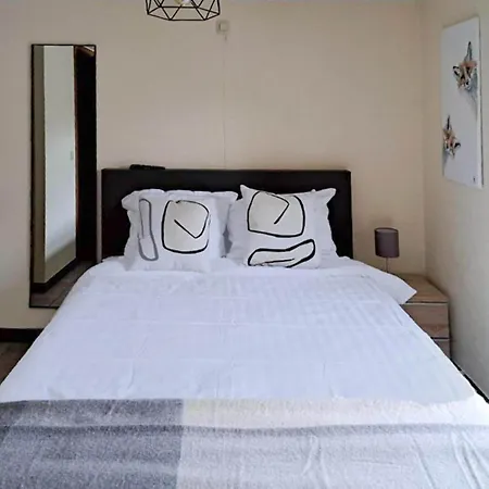 Au Coeur D'alle By Belvilla-double Apartament