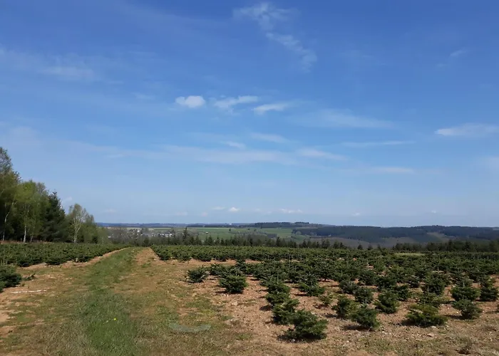 Apartment Au Coeur D'alle By Belvilla-double Alle